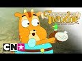 Ivandoe | De prins en de kranige eend | Cartoon Network