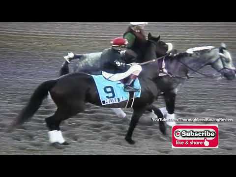 2000 Fountain of Youth Stakes - PT. 4 FLORIDA DERBY SERIES