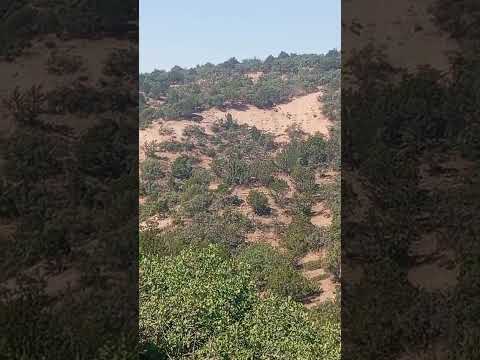 NİZAM AVCI ZİRVE HUNTİNG ORGANİZASYON