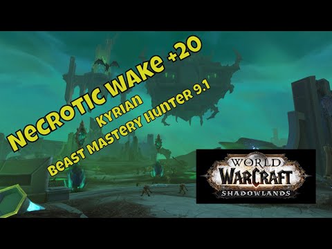 Beast Mastery Hunter POV 9.1 Kyrian, Necrotic Wake +20