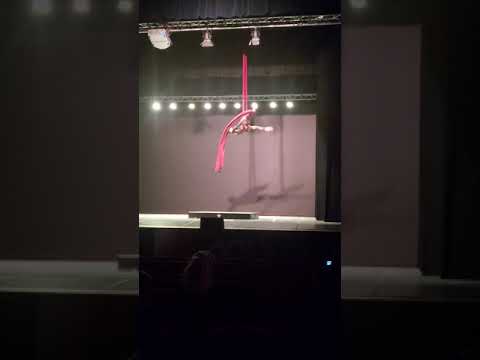 mallegni ilary rosa danza aerea 2021