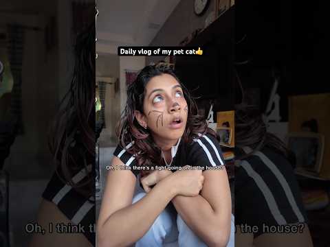 Eat, sleep, masti, attitude, repeat🙏🏻 #relatable #funny #cats #memes #pets #cats #catvideos #lol