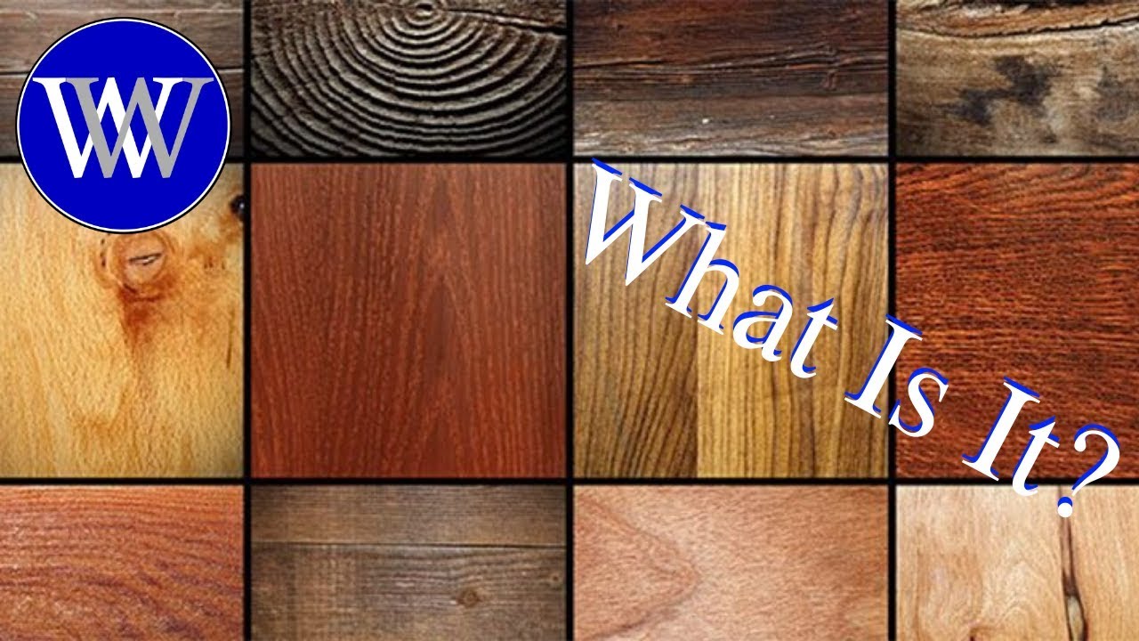 Blond woods. Тест вуд. Прибор для проверки влажности древесины. Быстрый тест на плотника. Прибор для проверки влажности древесины.