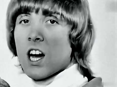 The Merseys   Sorrow HD