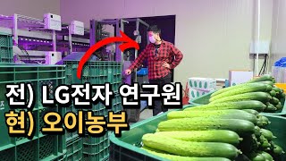 30대에 대기업 퇴사하고 오이농사 시작한 이유는? 1200평 짓는데 얼마나 들었을까? [스마트팜 오이농사] …