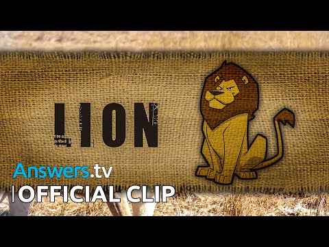 Safari! / Official Clip / Buddy Davis' Amazing Adventures