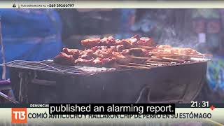 Dog Chip found at Street Food