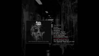 Denial of Light - In Silence We Decay