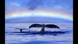 OM Namo Gurudeva blended by Om Aloha