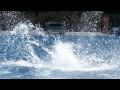 354  Big Swimming Pool Splash Sound Effects