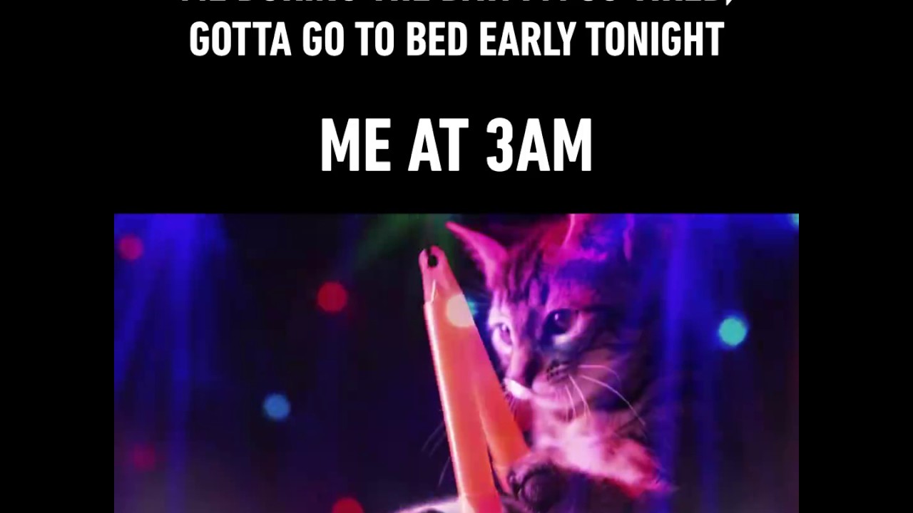 Oh sleep, why have you forsaken me? (By Meow Mix)