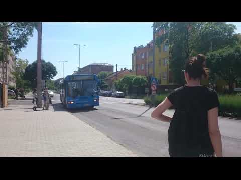 Ikarus 412 a 30-as busz vonalán [PTZ-500 ex.BPI-060] (2017) #shorts