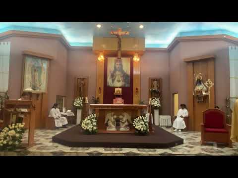 Solenidade de Nuestro Señor Jesucristo, Rei do Universo 2023