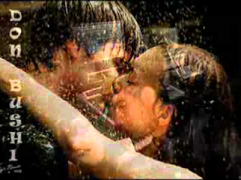 Don Bushi - A thu ishte mallkim