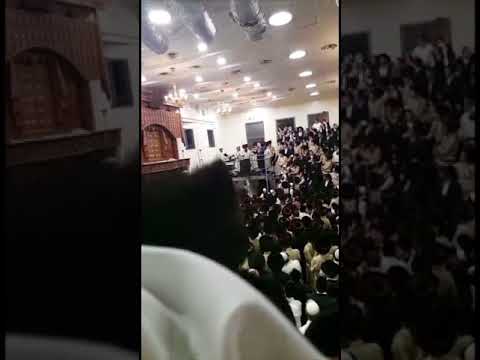 Moshe Habusha Sings @ Hakafos Shniyos In Toldos Avraham Yitzchok - 2017/5778