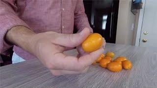 Kumquats - What Are They and How Do You Eat Them