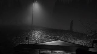 A sea of LEAVES... and demons... | Blair Witch Part 5