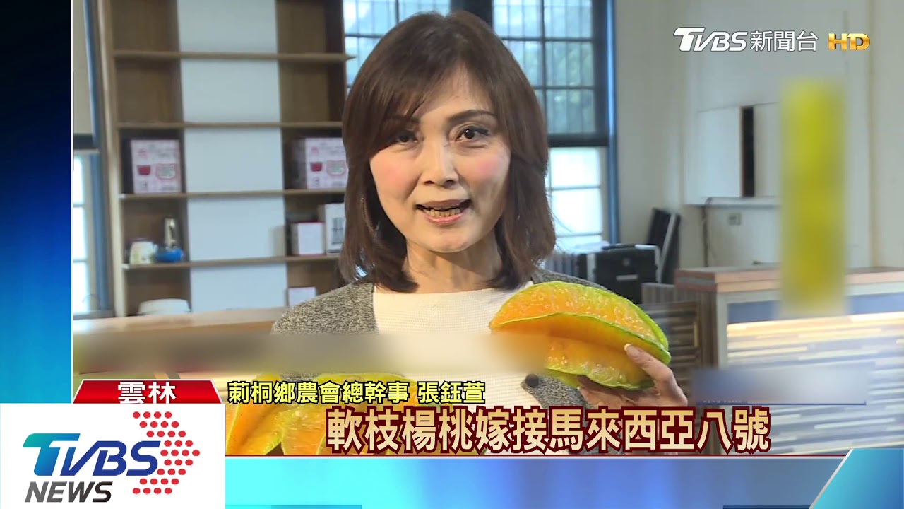 本草綱目記載潤肺 莿桐楊桃詢問度高
