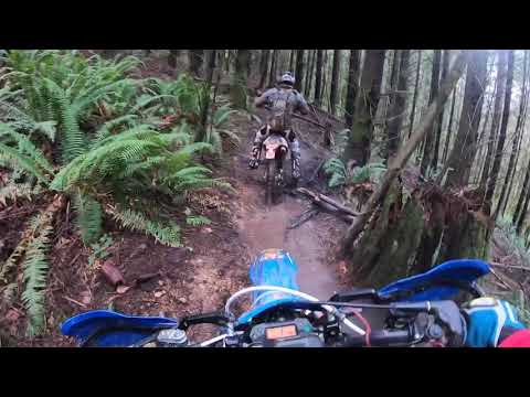 1st ride with RK Tek head on 2019 TM 300en