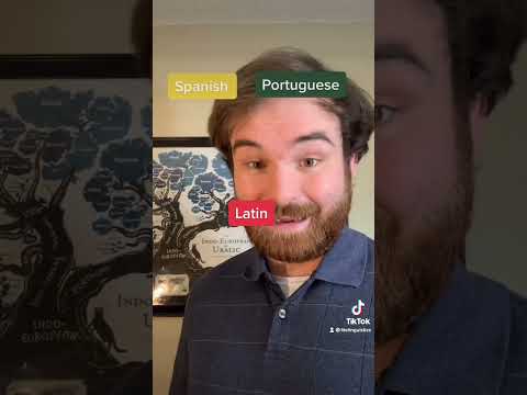 Portuguese and Latin Evolution!