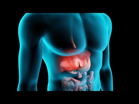 What Does Your Liver Do? | Liver Functions Explained | WebMD