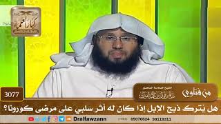 [3077] هل يُترك ذبح الإبل إذا كان له أثر سلبي على مرضى كورونا؟ - صالح الفوزان