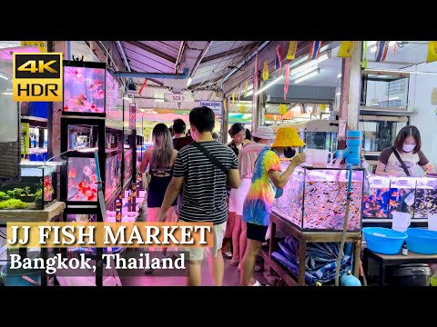 [BANGKOK] Chatuchak Fish Market "Largest Fish Market In Bangkok!" | Thailand [4K HDR Walking Tour]
