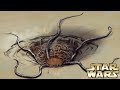 How the Empire Brutally Tortured a Sarlacc Pit [Legends] - Star Wars Explained