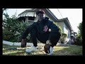 Wallie The Sensei 03 Flow 432Hz