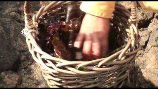 Thumbnail del capítulo