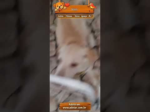 Vídeo de Maya