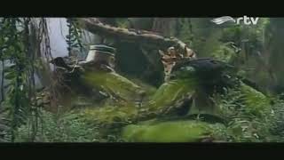 Download lagu PRABU ANGLING DARMA _ FITNAH NAGINI mp3 Download lagu PRABU ANGLING DARMA _ FITNAH NAGINI mp3