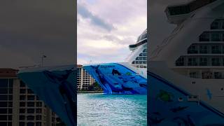 Norwegian Bliss 🛳️⚓️ #like #share #comment #subscribe #cruiseship #cruise #vacation #shorts #short