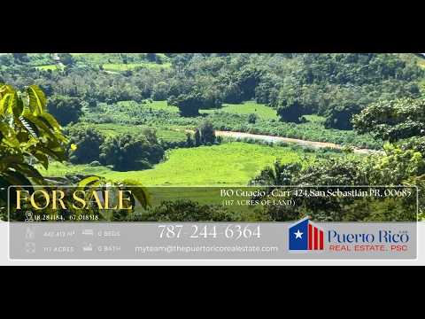 100+ Cuerdas/Acres for Sale in San Sebastián, Puerto Rico | Riverfront Farm & Land