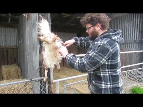 does victorinox steel suck??