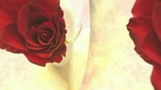 I Have The Feeling I've Been Here Before(ReiTakagi /高樹レイ)