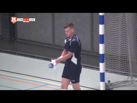 Samenvatting CFM - LZV 17/18