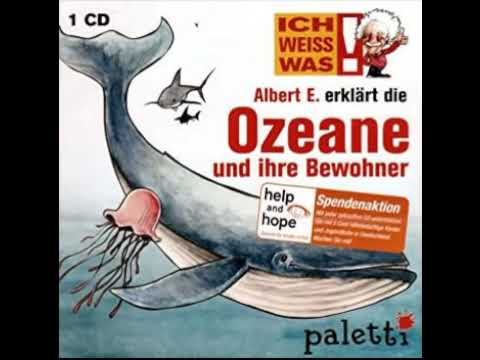 Albert E. erklärt die Ozeane und ihre Bewohner