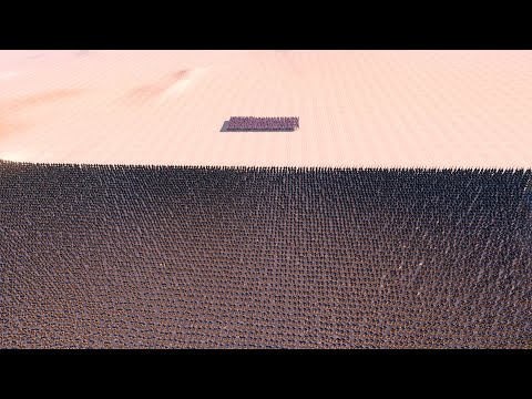 500 Raiden Shogun vs 20.000 Uruk Hai Warrior | Ultimate Epic Battle Simulator