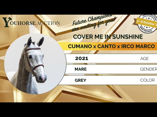 Cover me in Sunshine showvideo