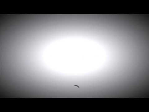 Vertland Rj X BP Marri X Dt Kwan “Activated”