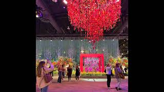 GardenDC Podcast Episode 230: Secrets of the Philadelphia Flower Show: A 2025 Review