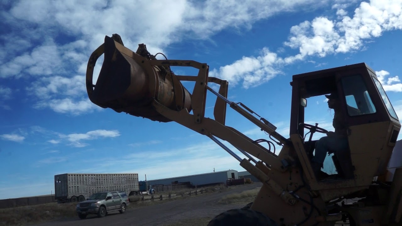 Case W14 Wheel Loader on BigIron Auction