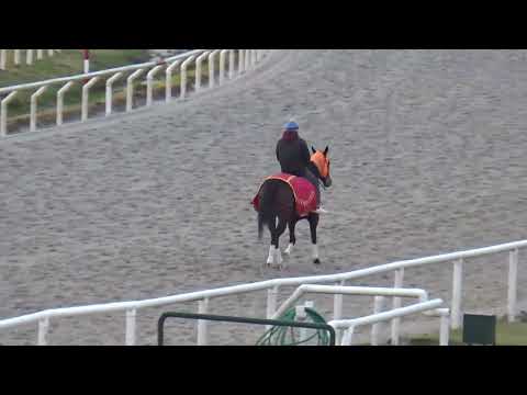 GIRONA FEVER-REVISTA INVASOR