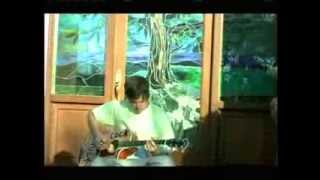 Tom Delonge Acoustic The Fallen Interlude (blink-182)