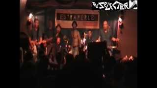 THE SELECTER My collie.