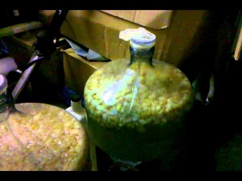 Home Made Apple Wine, Cheap and Easy