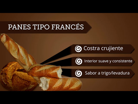 download lagu mp3 mp4 Pan Italiano Tipos, download lagu Pan Italiano Tipos gratis, unduh video klip Pan Italiano Tipos