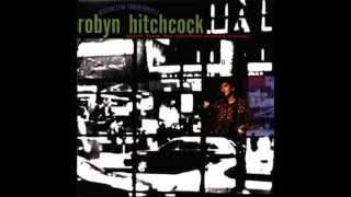 Robyn Hitchcock - Where Do You Go When You Die?