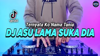 Download lagu DJ ASU LAMA SUKA DIA REMIX FULL BASS VIRAL TIKTOK TERBARU 2023 | DJ TERNYATA KO NAMA TANIA mp3 Download lagu DJ ASU LAMA SUKA DIA REMIX FULL BASS VIRAL TIKTOK TERBARU 2023 | DJ TERNYATA KO NAMA TANIA mp3